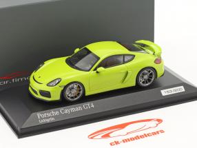 Porsche Cayman GT4 light green 1:43 Minichamps