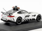 Mercedes-Benz AMG GT-R Safety Car fórmula 1 2018 1:43 PremiumX