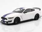 Ford Mustang Shelby GT350R 建造年份 2017 牛津布 白 / 蓝 1:18 AUTOart