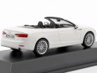 Audi A5 Cabriolet year 2017 tofana white 1:43 Spark