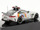 Mercedes-Benz AMG GT-R Safety Car 方式 1 2020 1:43 Ixo