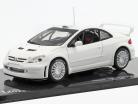 Peugeot 307 WRC Rally Spec hvid 1:43 Ixo