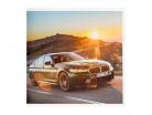 Bog: BMW M Love - 50 Flere år BMW M (Tysk)