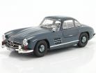 Mercedes-Benz 300 SL (W198) year 1954-1957 middle blue 1:18 Norev