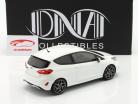 Ford Fiesta ST Année de construction 2020 frozen Blanc 1:18 DNA Collectibles