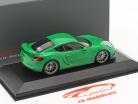 Porsche Cayman GT4 viper grün 1:43 Minichamps