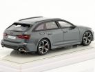 Audi RS 6 Avant (C8) Année de construction 2019 Daytona Gris 1:43 TrueScale