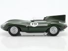 Jaguar D-Type #19 vencedora 12h Sebring 1955 Hawthorn, Walters 1:18 CMR