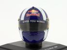 David Coulthard #14 Red Bull formula 1 2005 helmet 1:5 Spark Editions / 2. choice