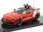Mercedes-Benz AMG GT-R Safety Car 公式 1 2021 1:43 Ixo