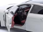 Porsche Panamera Turbo S 建設年 2020 チョーク 1:18 Minichamps