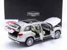Mercedes-Benz Maybach GLS 600 (X167) zilver 1:18 Paragon Models
