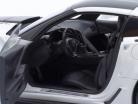 Chevrolet Corvette C7 ZR1 Anno di costruzione 2019 artico bianco 1:18 AUTOart