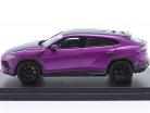 Lamborghini Urus Performante Año de construcción 2022 púrpura 1:43 LookSmart
