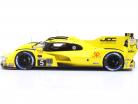Porsche 963 #5 IMSA 2023 JDC-Miller MotorSports 1:18 Spark / Begrænsning #001