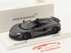 McLaren 600LT Spider 建設年 2019 chicane グレー 1:43 TrueScale