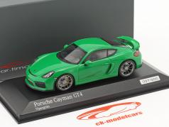 Porsche Cayman GT4 hugorm grøn 1:43 Minichamps