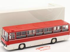 Ikarus 260.06 bus rood / Wit 1:43 Premium ClassiXXs
