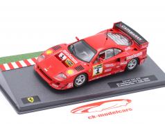 Ferrari F40 GTE #1 勝者 6h Vallelunga 1996 Della Noce, Schiattarella 1:43 Altaya