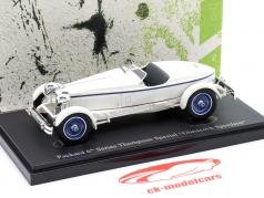 Packard 6-е место Ряд Thompson Special Glasscock Speedster 1929 белый 1:43 AutoCult