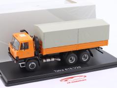 Tatra 815 V26 Бортовой грузовик апельсин / Серый 1:43 Premium ClassiXXs