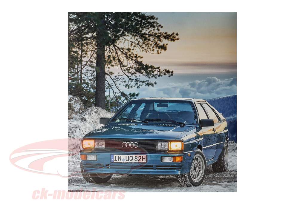 Buch: Audi Quattro von Dirk-Michael Conradt