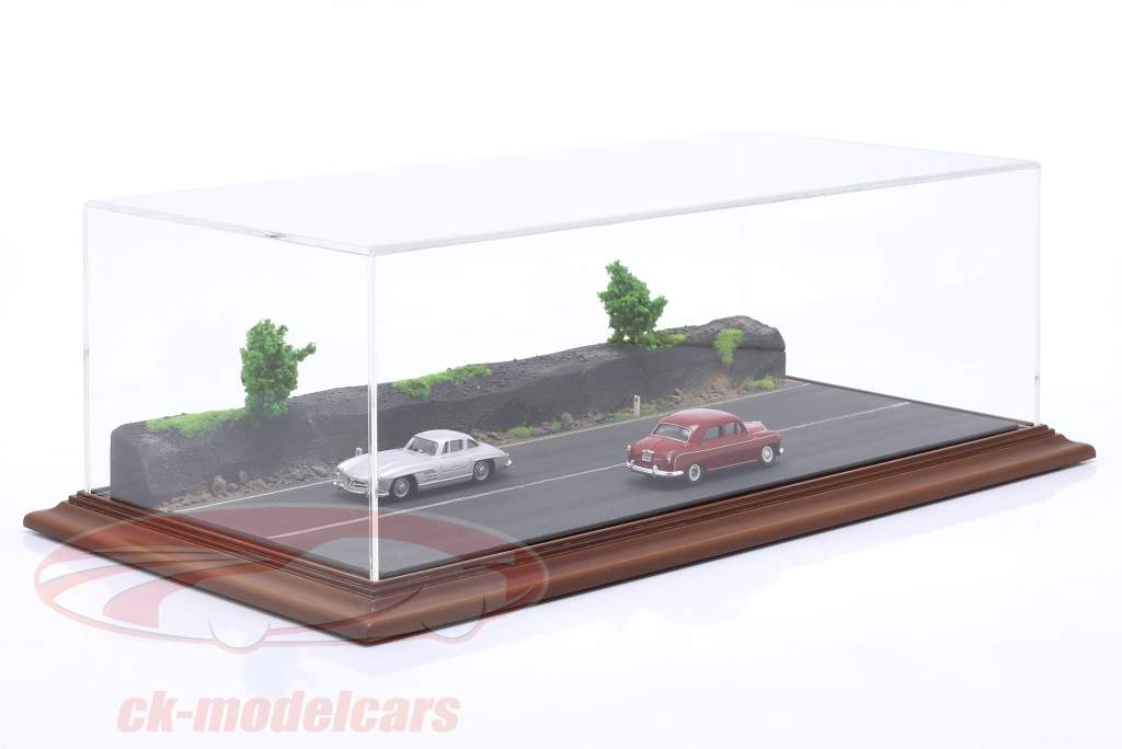 High quality Acrylic Showcase with Diorama base plate Forest Road