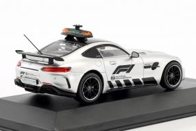 Modellautos Mercedes-AMG GT R 2018 Safety Car 1:43